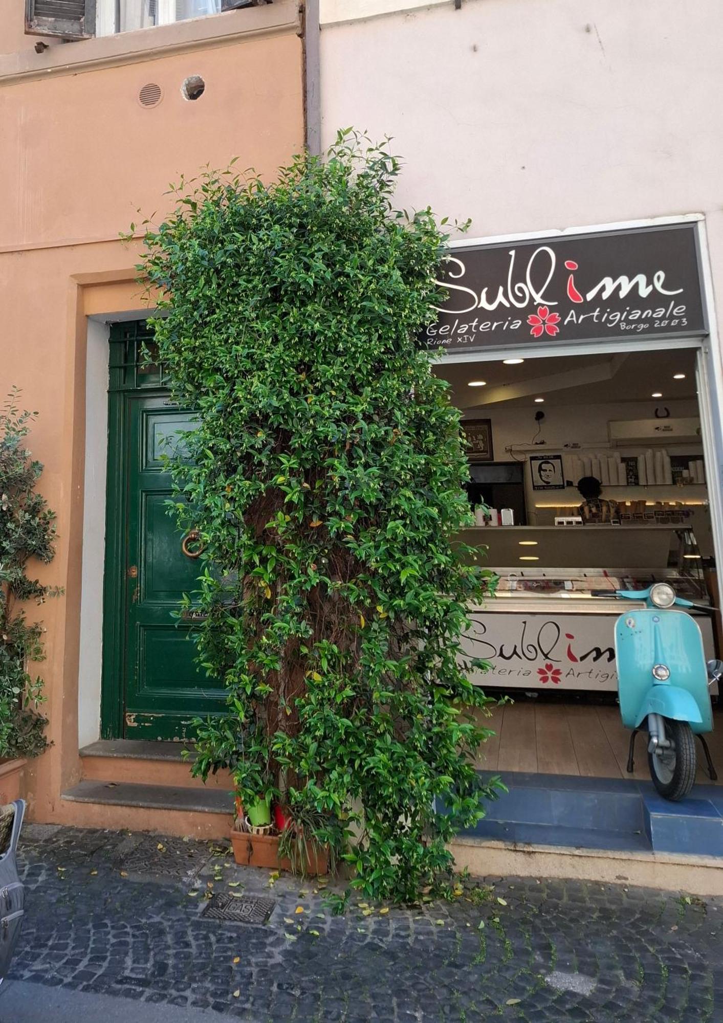 Borgo Place Roma
